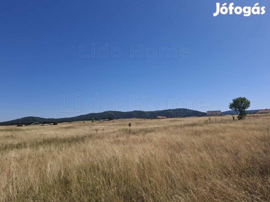 ELADÓ TELEPHELY MÁRKÓN