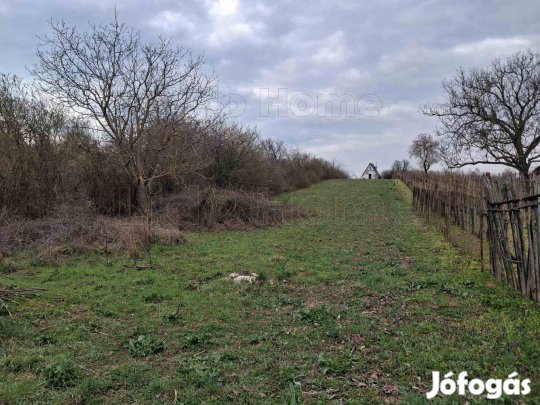ELADÓ ZÁRTKERTI TELEK BALATONALMÁDI FELETT!