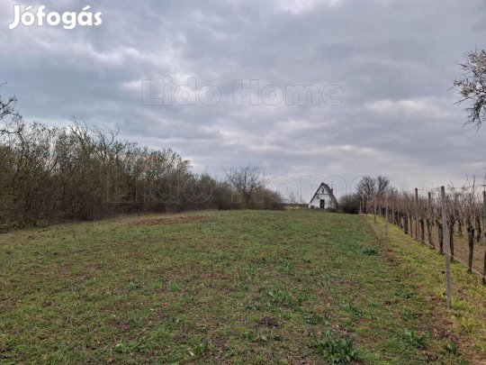 ELADÓ ZÁRTKERTI TELEK BALATONALMÁDI FELETT!