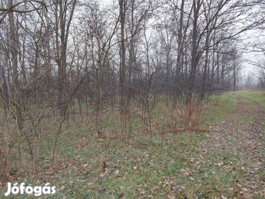 ELAD 33 Ha ERD , SZNT , TANYA TPISZENTMRTONBAN.