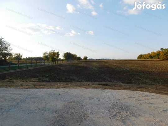 ELAD! IPARI TERLET LENGYELTTIBAN!