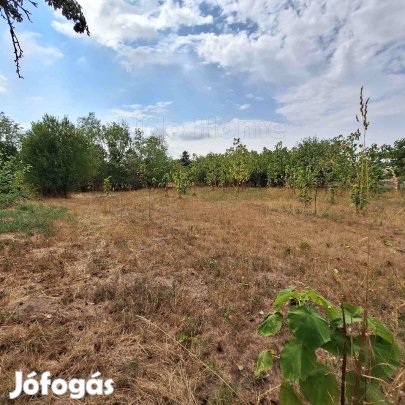 ÉPÍTÉSI TELEK ELADÓ Mezőkomárom csendes övezetében, számtalan