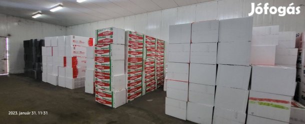 EPS 100 lépésálló polisztirol 12 cm eladó