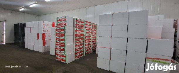 EPS 100 lépésálló polisztirol 15 cm eladó