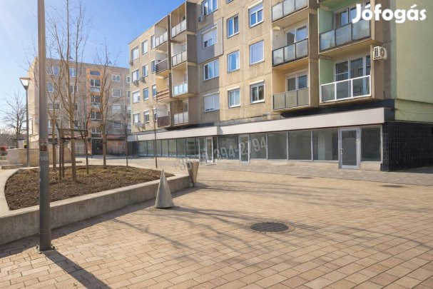 EXKLUZÍV ÜZLETHELYISÉG TATABÁNYA, DÓZSAKERT SÉTÁLÓ UTCA