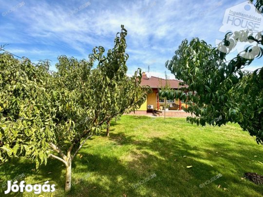 Ébredjen madárcsicsergésre minden nap!