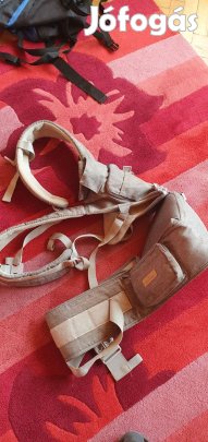 Eccomum baba hordozó