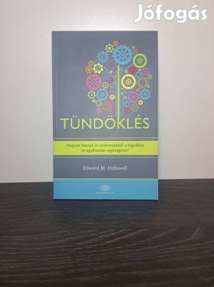 Edward M. Hallowell: Tündöklés