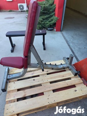 Edzőtermi állítható pad