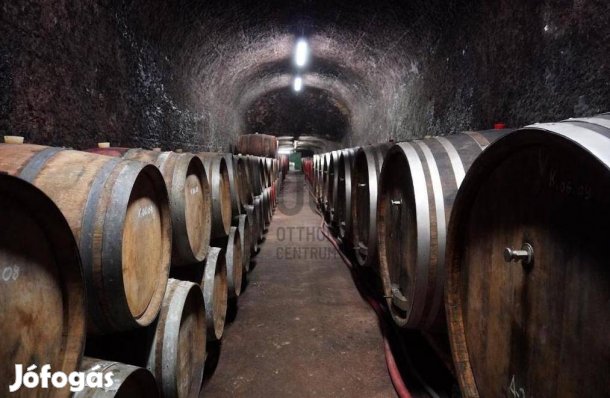 Egeri eladó 940 nm-es ipari ingatlan #4503060