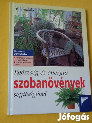 Egészség és energia szobanövények segítségével