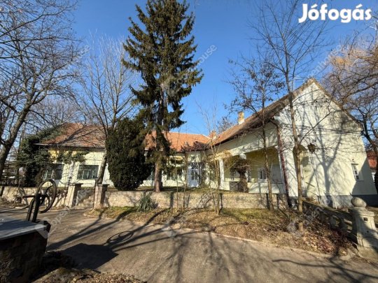 Egy csöppnyi történelem