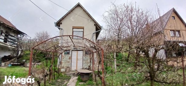 Egy pince, ahol a csendnek értéke van  és a lehetőségeknek tere!