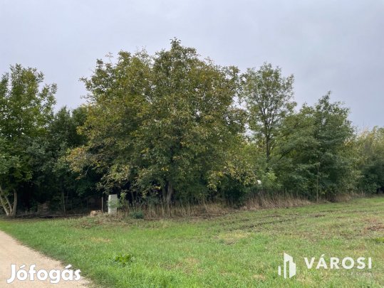 Egy telek, ahol valóban lelassul az idő.