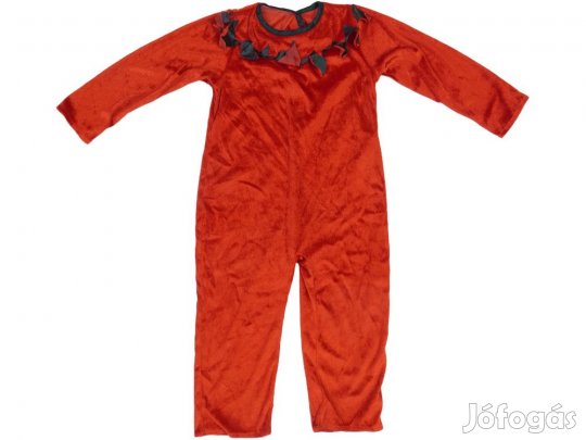 Egyéb Használt (keveset használt) Fiú Jelmez (Méret: 104)