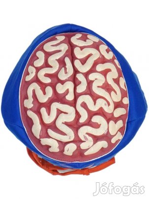 Egyéb Használt (keveset használt) Fiú Jelmez (Méret: 146)