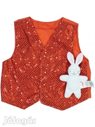 Egyéb Használt (keveset használt) Lány Jelmez (Méret: 116)