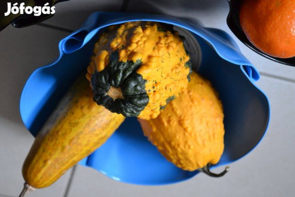 Egyedi bakelit lemez tál Új