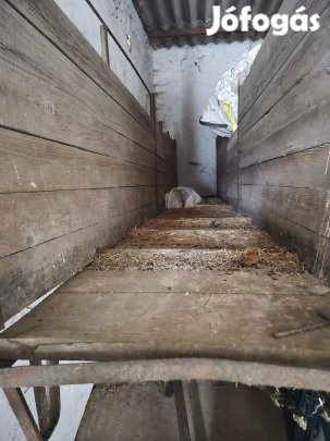 Egyedi gyártású, mobil állatfelhajtó eladó