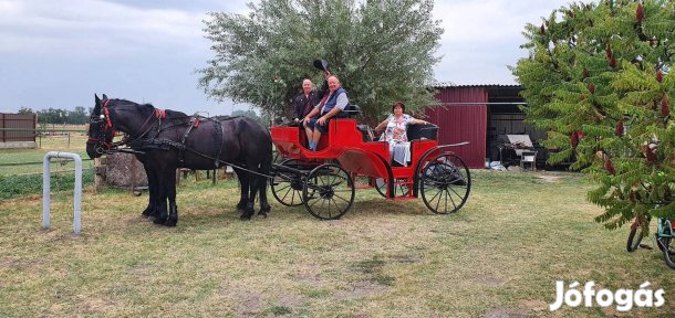Egyedi készítésű hintó 