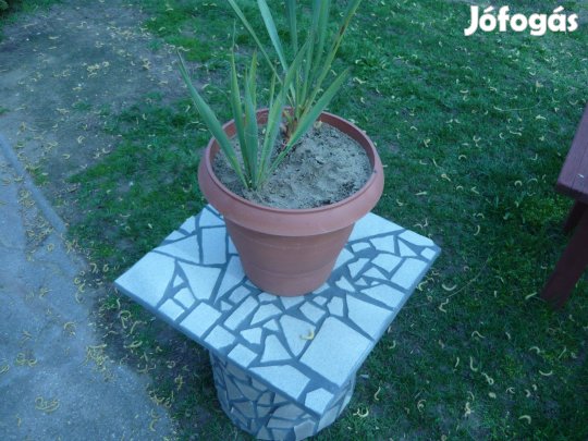 Egyedi készítésű virágtartók