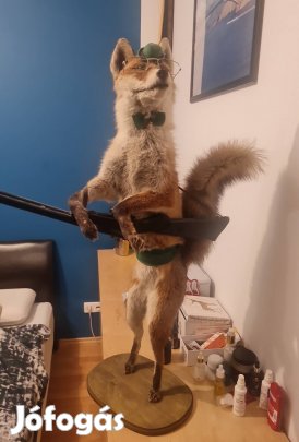 Egyedi preparált vörös róka puskával  különleges dekoráció