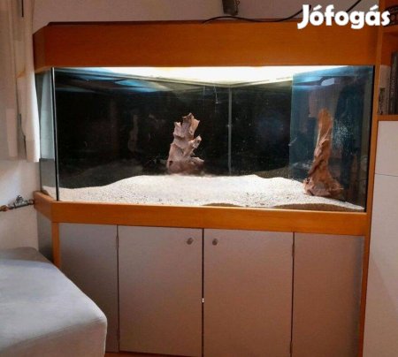 Egyedi sarok akvárium 550 literes tartozékokkal együtt és bútor