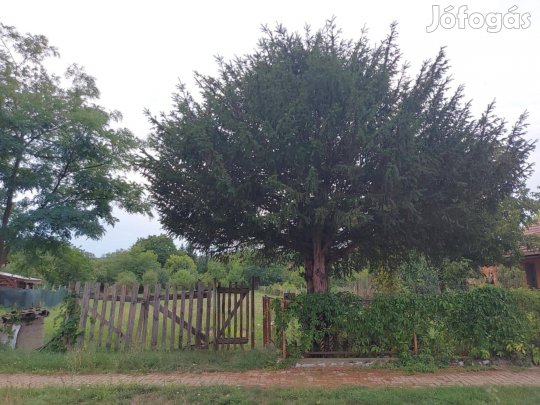 Egyedülálló építési telek Demjénben eladó!