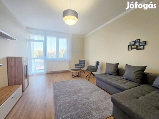 Egyetem közeli, felújított 2 szobás, gázcirkós téglalakás Kiadó!