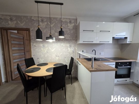 Egyetem mellett igényes, 3 szobás lakás kiadó