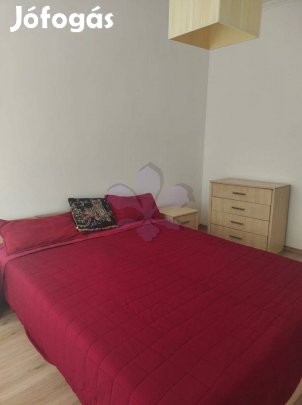 Egyetem mellett igényes lakás kiadó (Komlóssy utca)