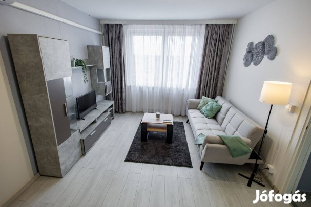 Egyetem sugárúton 35 m2-es, 1+félszobás, felújított lakás kiadó