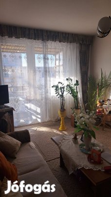 Egyetemek közelében 1,5 szobás lakás eladó!