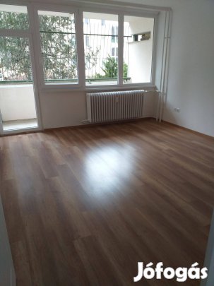 Egyetemhez közel 1+1 szobás lakás eladó