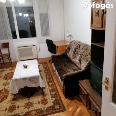 Egyetemhez közel 3 szobás lakás kiadó