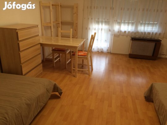 Egyetemista lány lakótársat keresünk