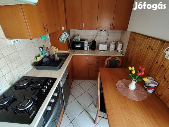 Egyetemvárosban, 2 szobás lakás eladó.
