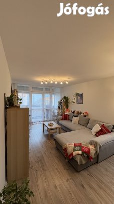 Egyetemvárosi felújított 2.5 szobás lakás