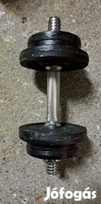 Egykezes kézi súlyzó, 10kg