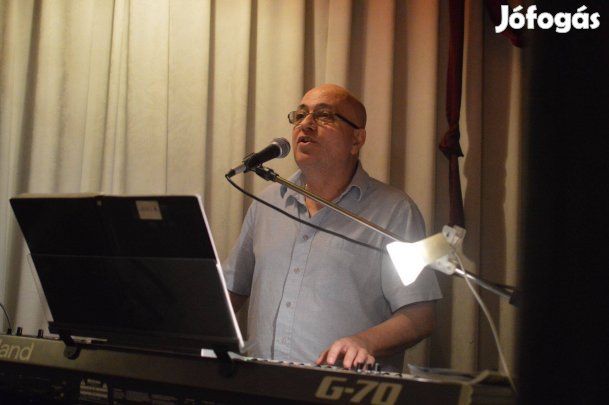 Egyszemélyes Zenész ( Lakodalom, születésnap, Stb)