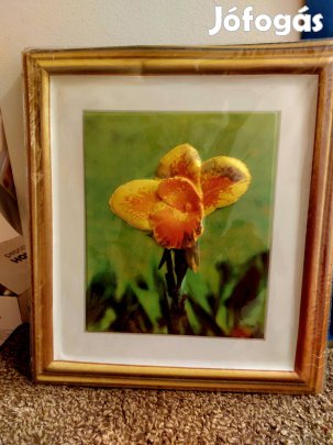 Egyszerú préselt képek 30x25cm