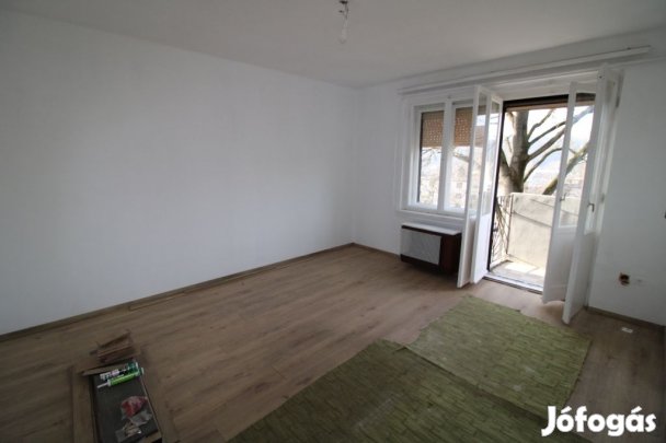 Egyszobás erkélyes téglalakás, a Szerpentin út alsó részén.