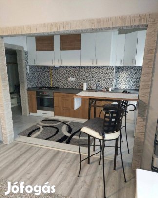 Egyszobás lakás kiadó