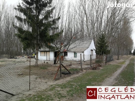 Elad mezgazdasgi, Csem Zldhalom, 9500000 Ft, 50 nm 336_ci