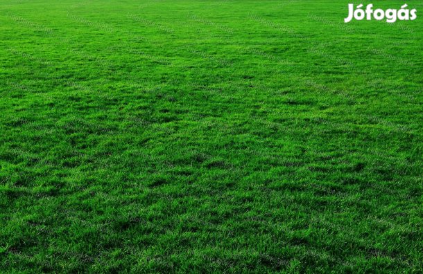 Elad sznt Sifok- Treki