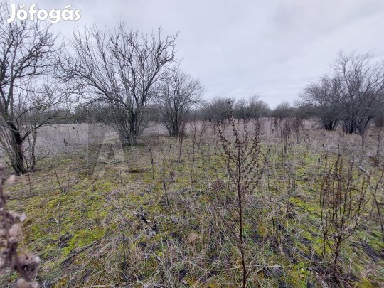 Eladó 0.74 ha termőföld, Röszke