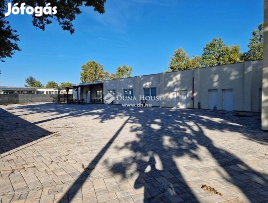 Eladó 1000 nm-es műhely Kecskemét #4921789