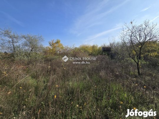 Eladó 1000 nm-es telek Szabadbattyán