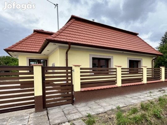 Eladó 100 nm-es Újszerű állapotú Családi ház Nagykáta