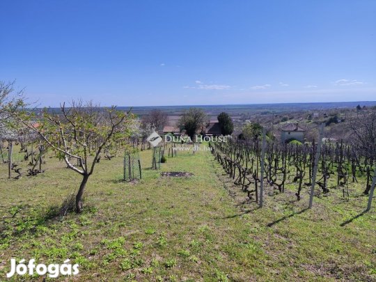 Eladó 1035 nm-es telek Pázmánd